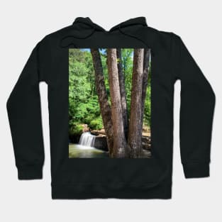 Freeman's Mill Park Hoodie